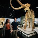 Royal Alberta Museum
