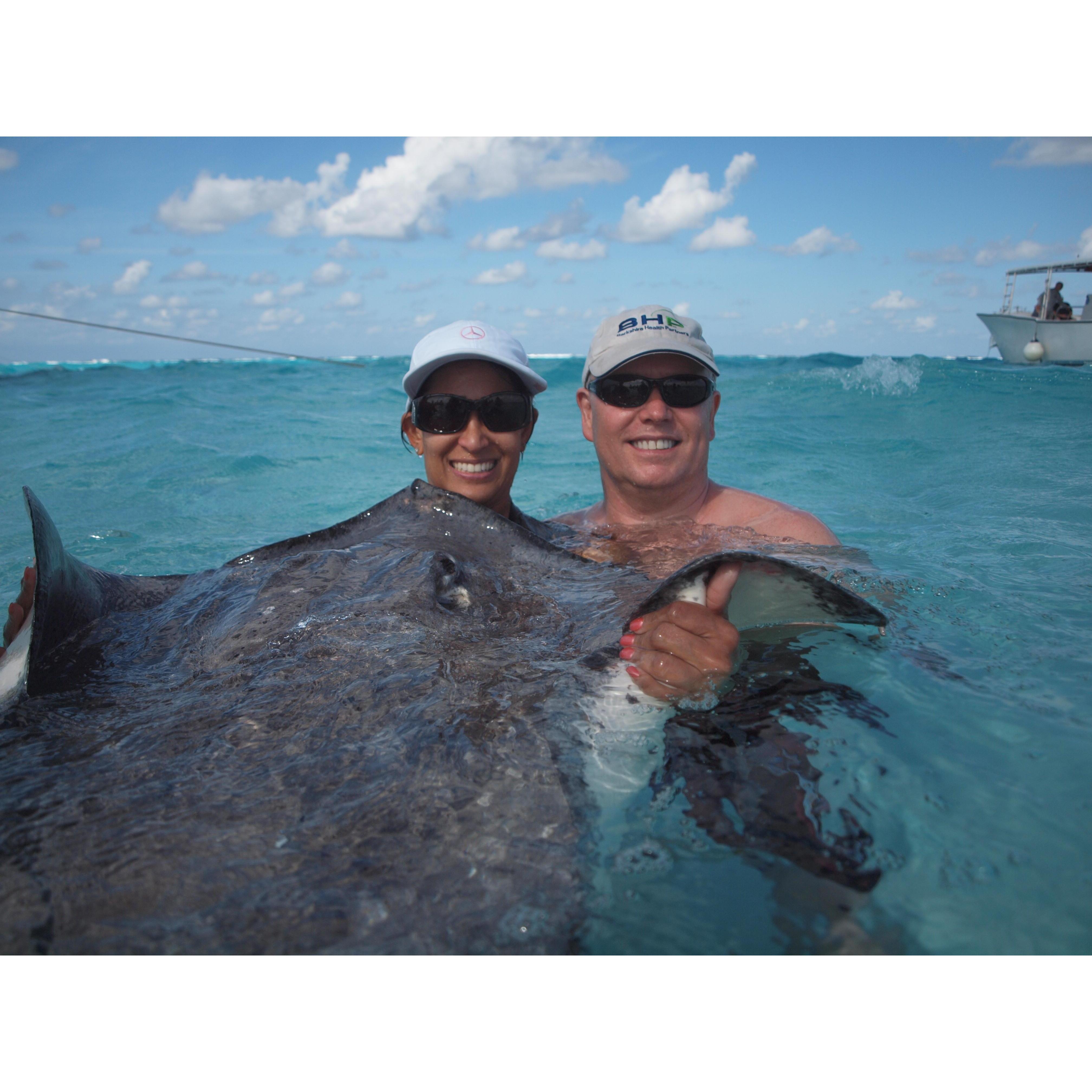 Cayman stingray