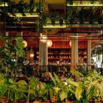 El Botánico Restaurante Cocina de Autor Medellin - Restaurant