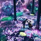 ARTECHOUSE Houston