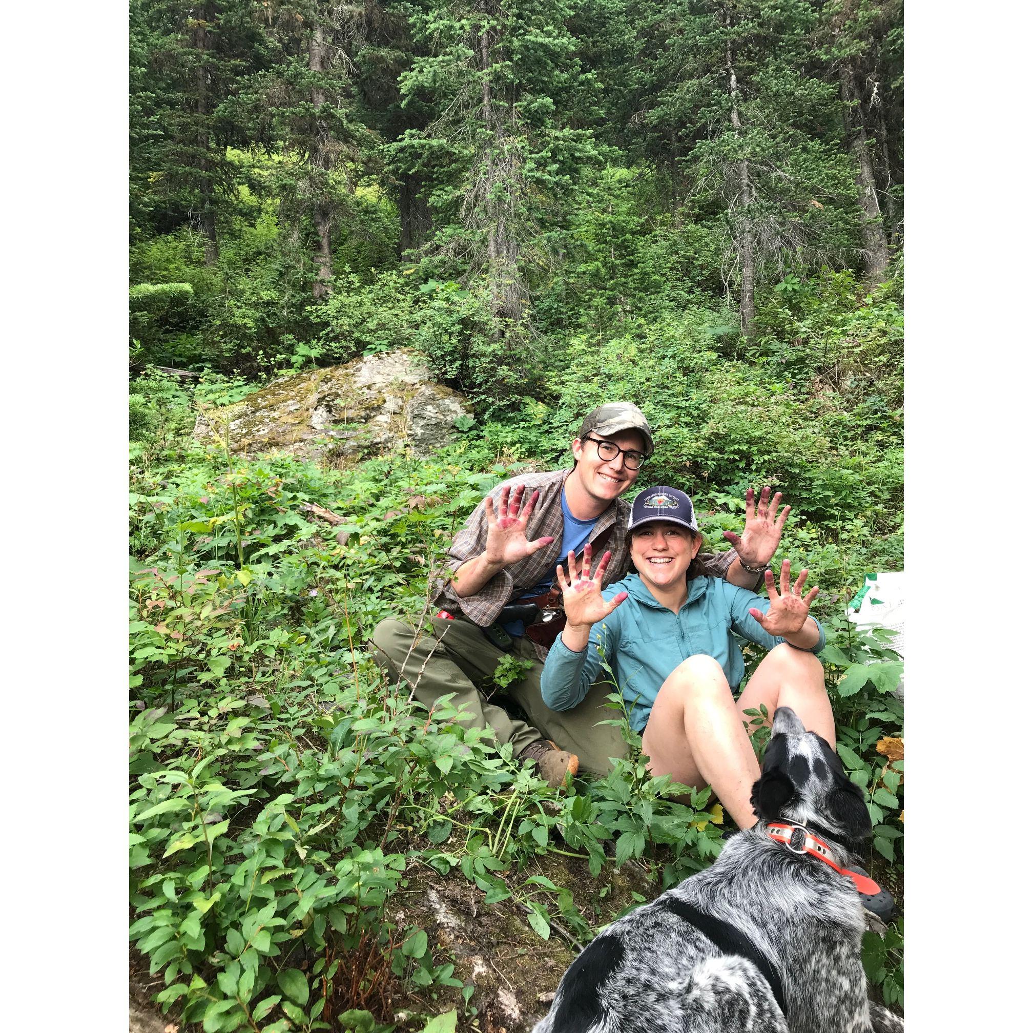 Huckleberry Picking