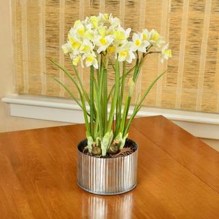 Artificial Daffodil Arrangement
