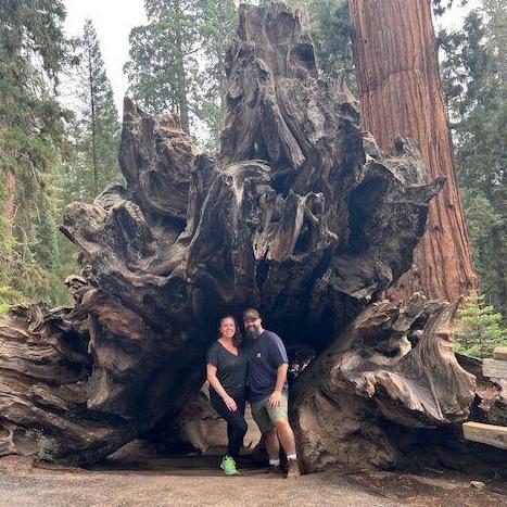 Adventures in the Redwoods
