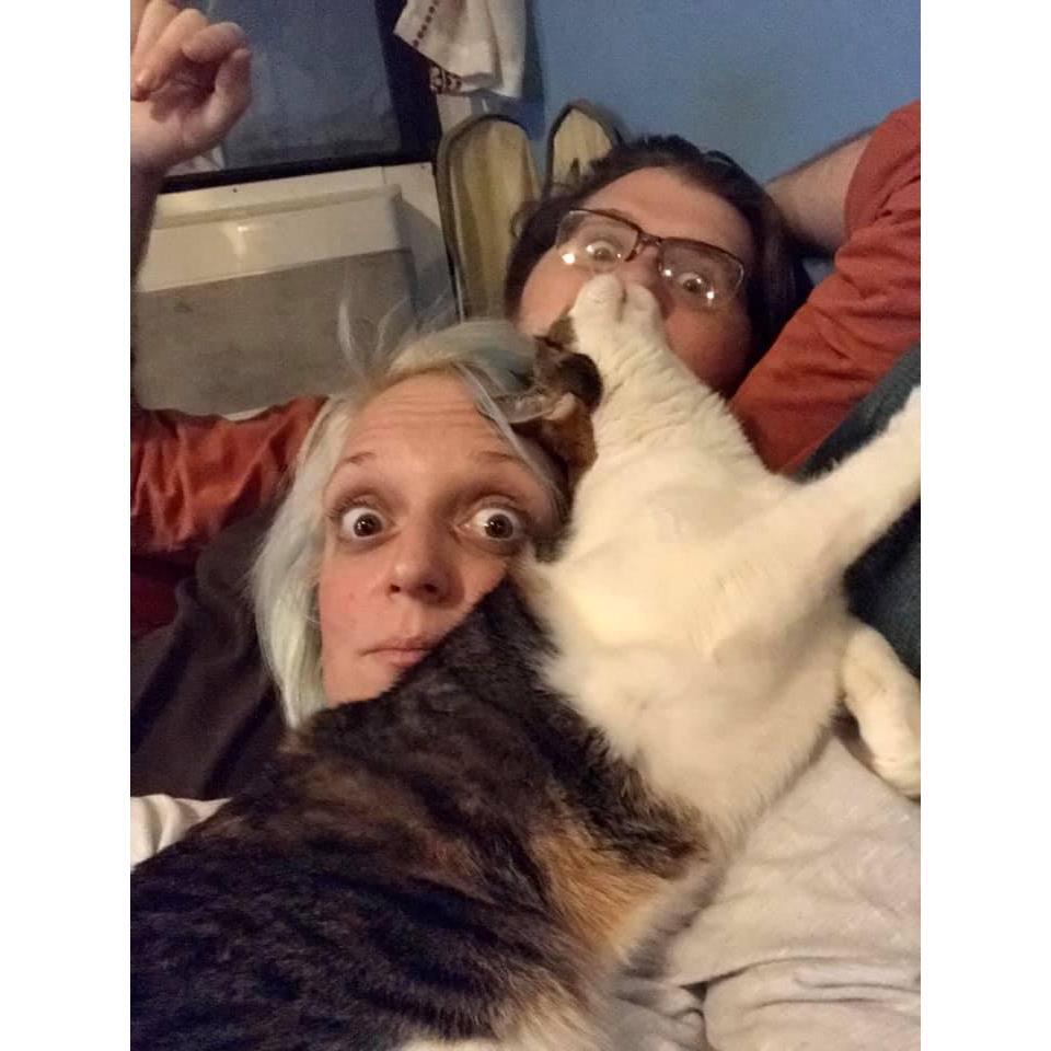 Just a typical Friday night in the Llama Cave.