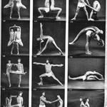 The Mat MX (Yoga)