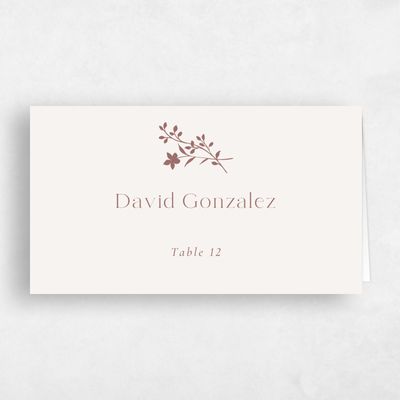 Clay Brown Wedding Place Card - Hazel