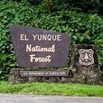 El Yunque National Forest