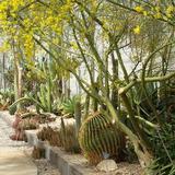 Living Desert Zoo & Gardens State Park
