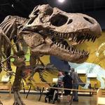 Cleveland Museum of Natural History