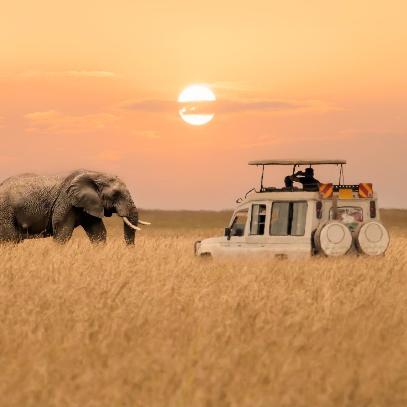 Honeymoon Fund (Tanzania & Zanzibar!)