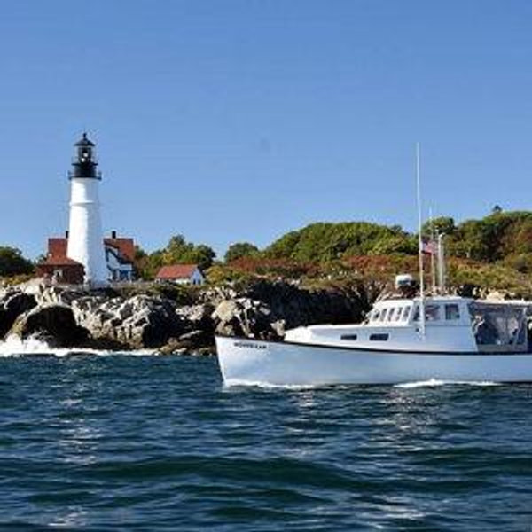 Honeymoon: Sightseeing and Nature Cruise Tickets
