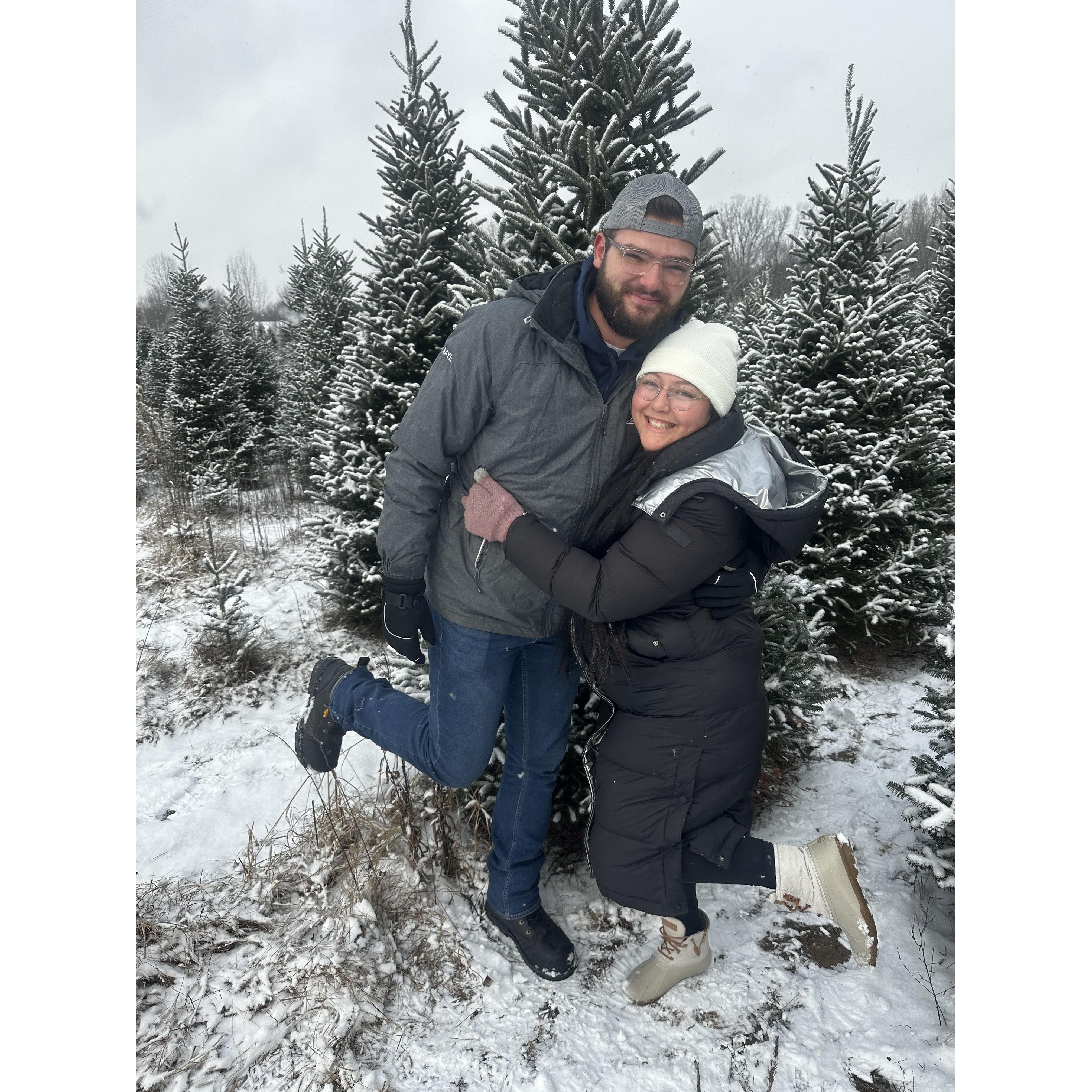 Our last tree cutting before being married
