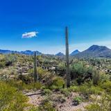 Arizona-Sonora Desert Museum