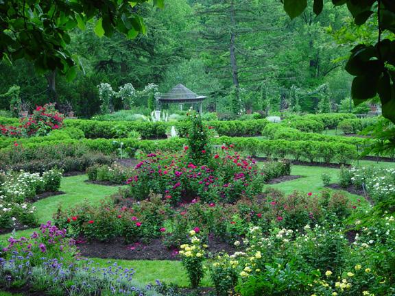 The Wedding Website of Serenity Lalita Lillibridge and Roger Olin Vitek