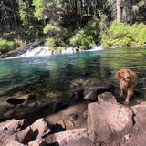 The Metolius