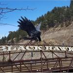 Black Hawk Station Casino