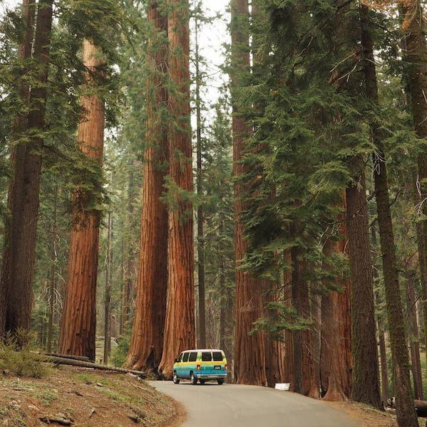 Our Honeymoon Fund | California Trip