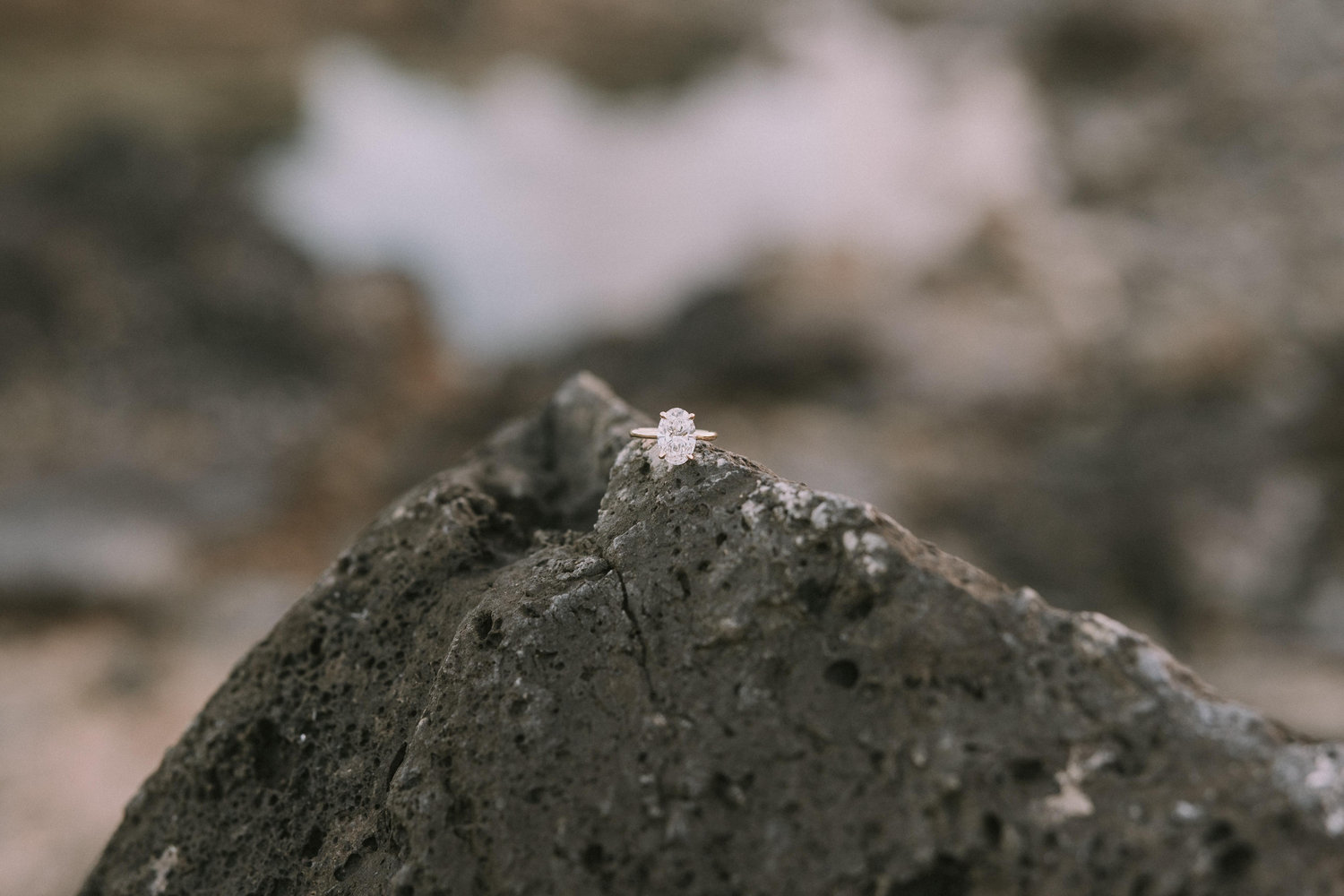 The Wedding Website of Meghan Witte and Cameron Kresko