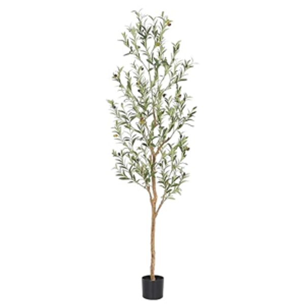 Bellacat Faux Olive Tree 6ftï¼ŒOlive Trees Artificial Indoor with Natural Wood Trunk and Realistic Leaves and Fruits. 6 Feet(72in) Fake Olive Tree for Home House Office DÃ©cor.