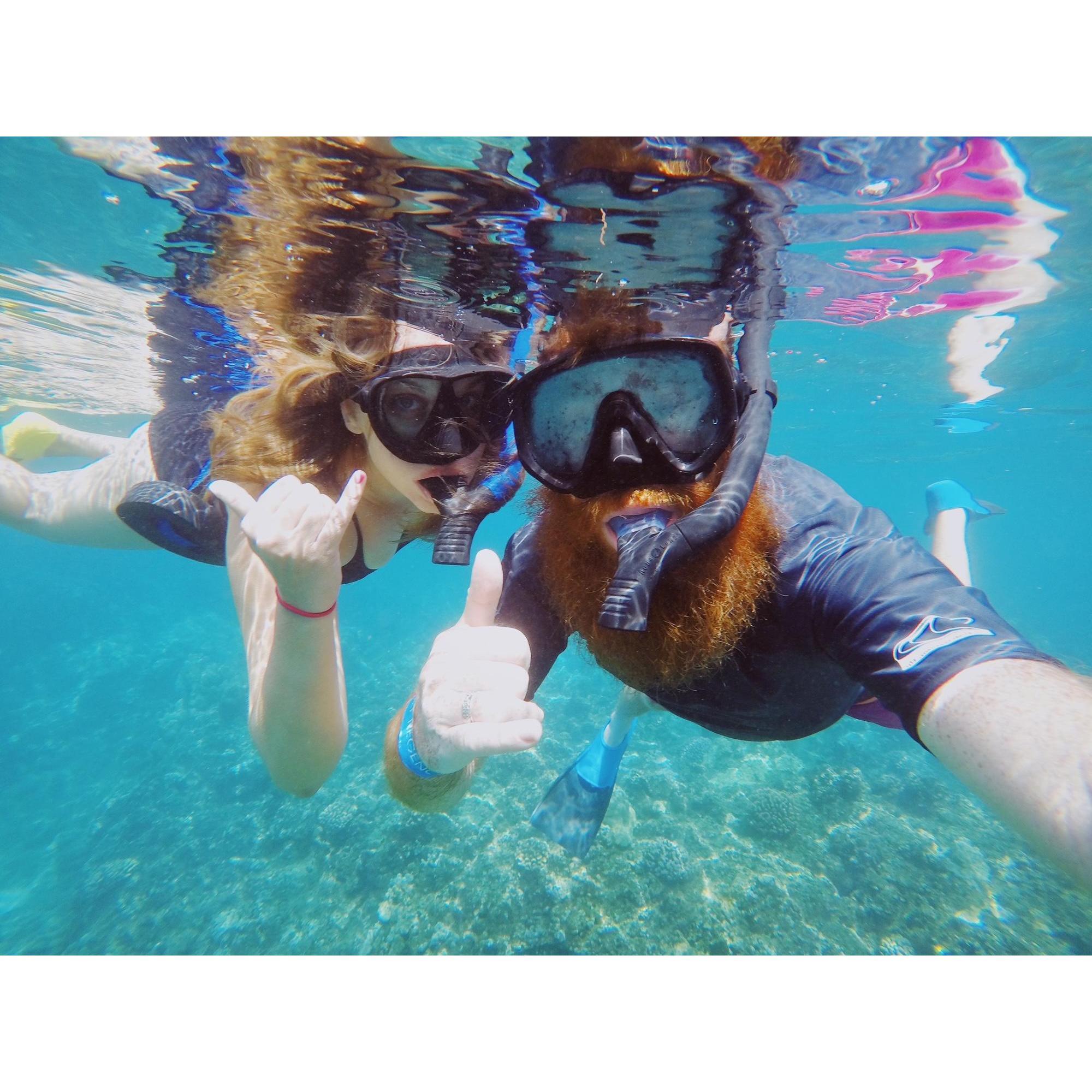 2019

Our first trip to Hawaii to celebrate Abby's 30th Birthday!