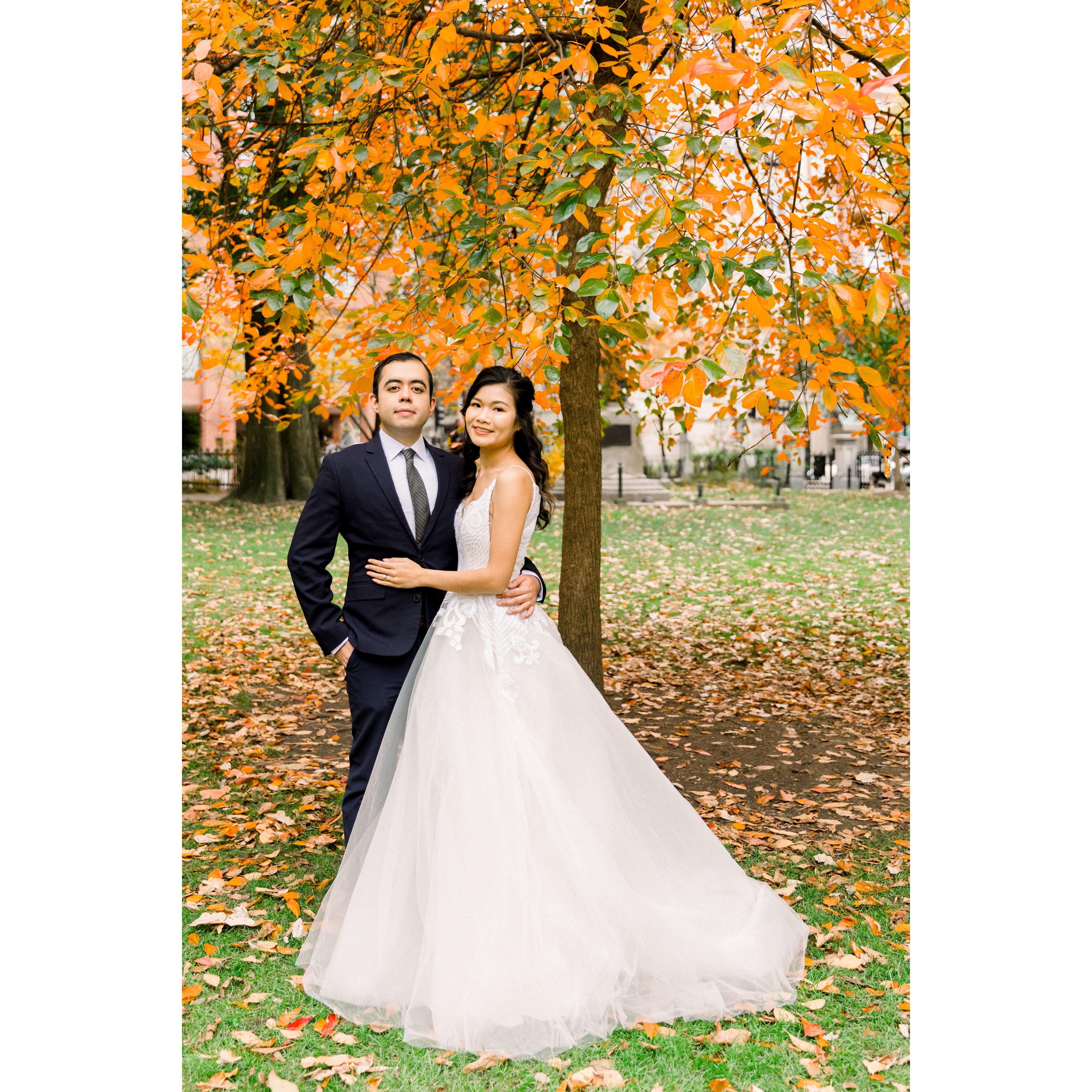 The last few yellow leaves of the season