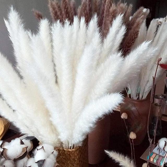 EZDC 30 Stems Cream White Pampas Grass, 17” Pampas Grass Decor, Dried Pampas Grass Plants for Rustic, Boho Decor, Home Decor as Plant Room Decor
