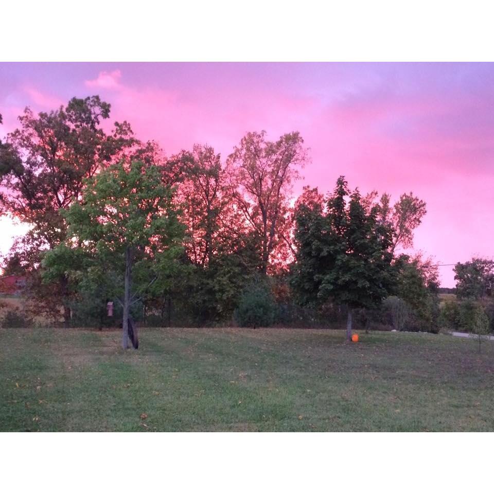 View from the front porch