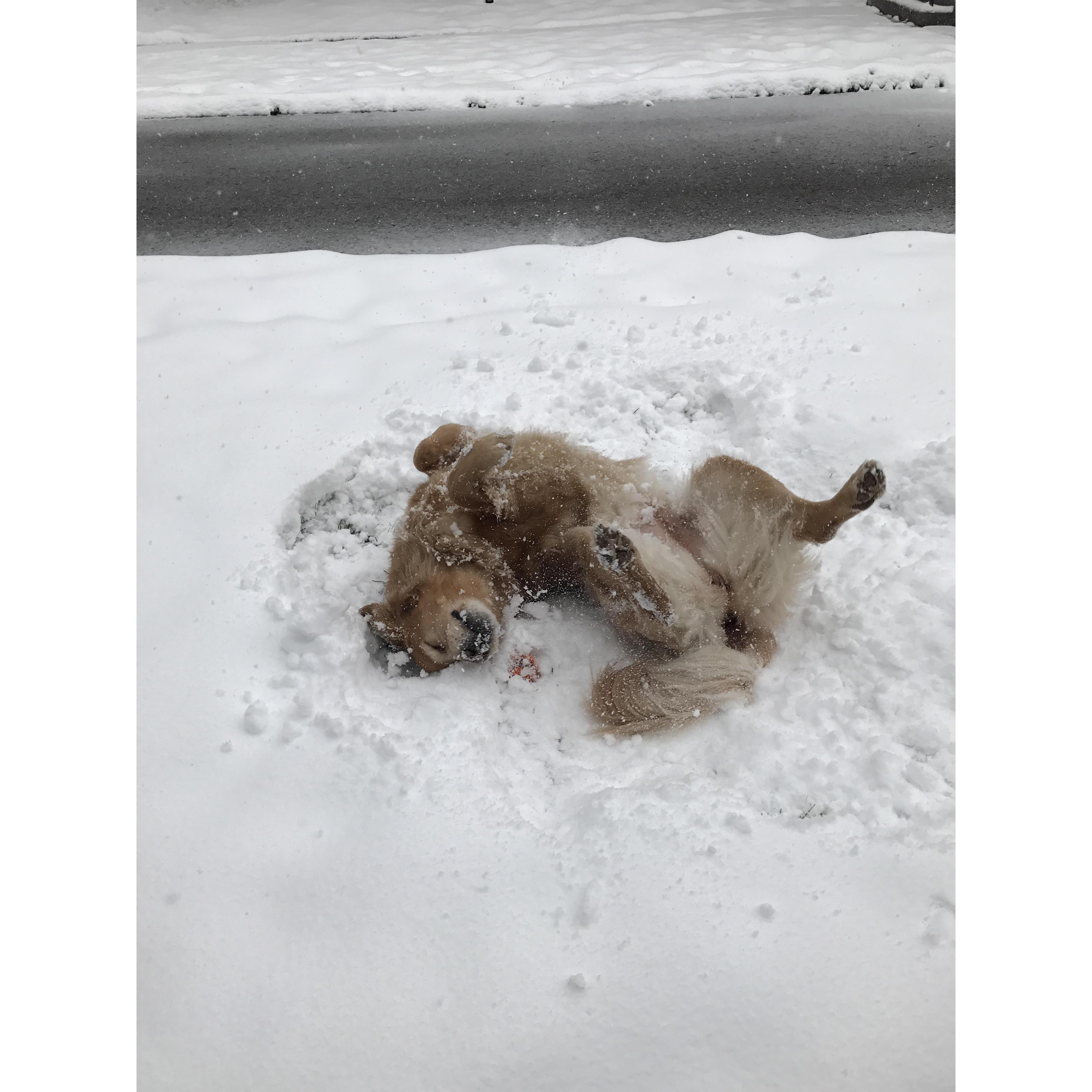 Snowy Bailey