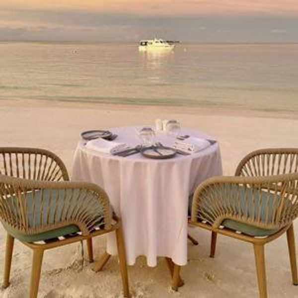 Beach Dinner fund