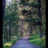 Hiking