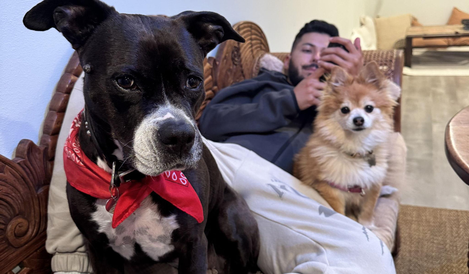 Footer image
