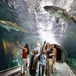 Adventure Aquarium