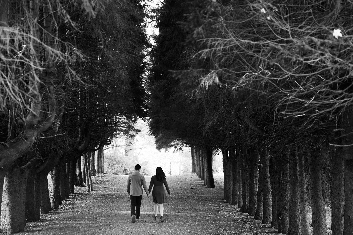 The Wedding Website of Elizabeth O'Connor and Robert Haussner