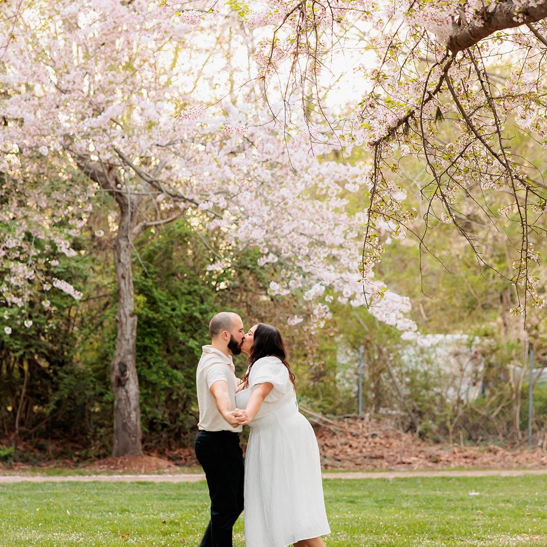 2025 - D.C. Cherry Blossom Season for our Engagement Pictures