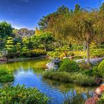 Earl Burns Miller Japanese Garden