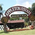 Estate Rum Tour