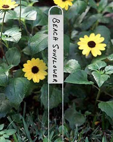Vertical Markers, Set of 25
