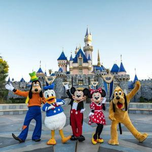 Disneyland Honeymoon