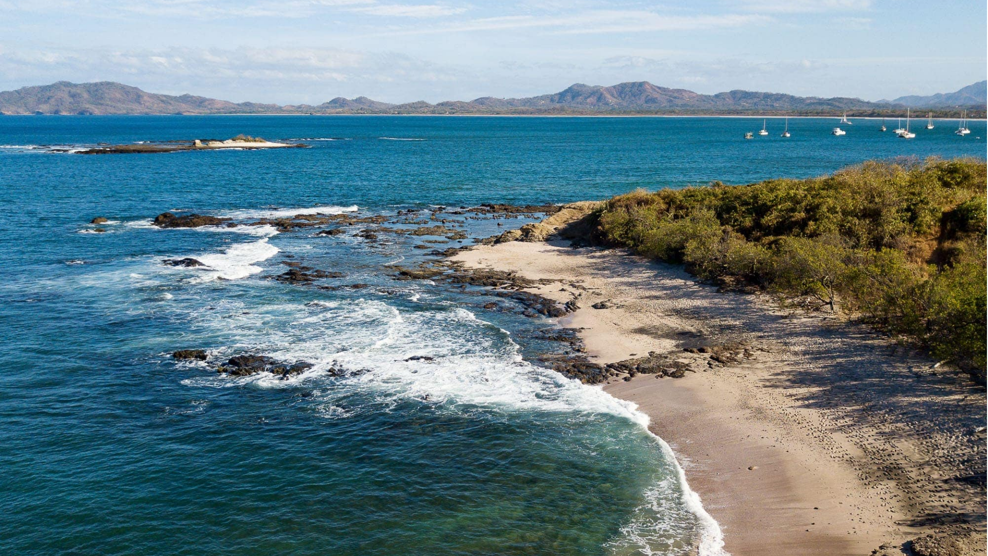 The Wedding Website of Elyse Lombardi and Alex Salzman