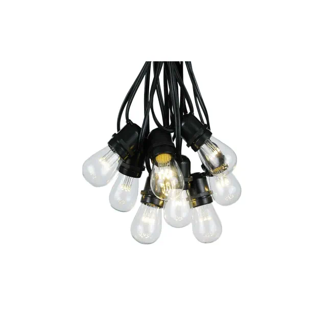 Novelty Lights S14 Warm White LED Edison Outdoor String Lights with 25 Bulbs Vintage Bulbs Black Wire 37.5 Feet