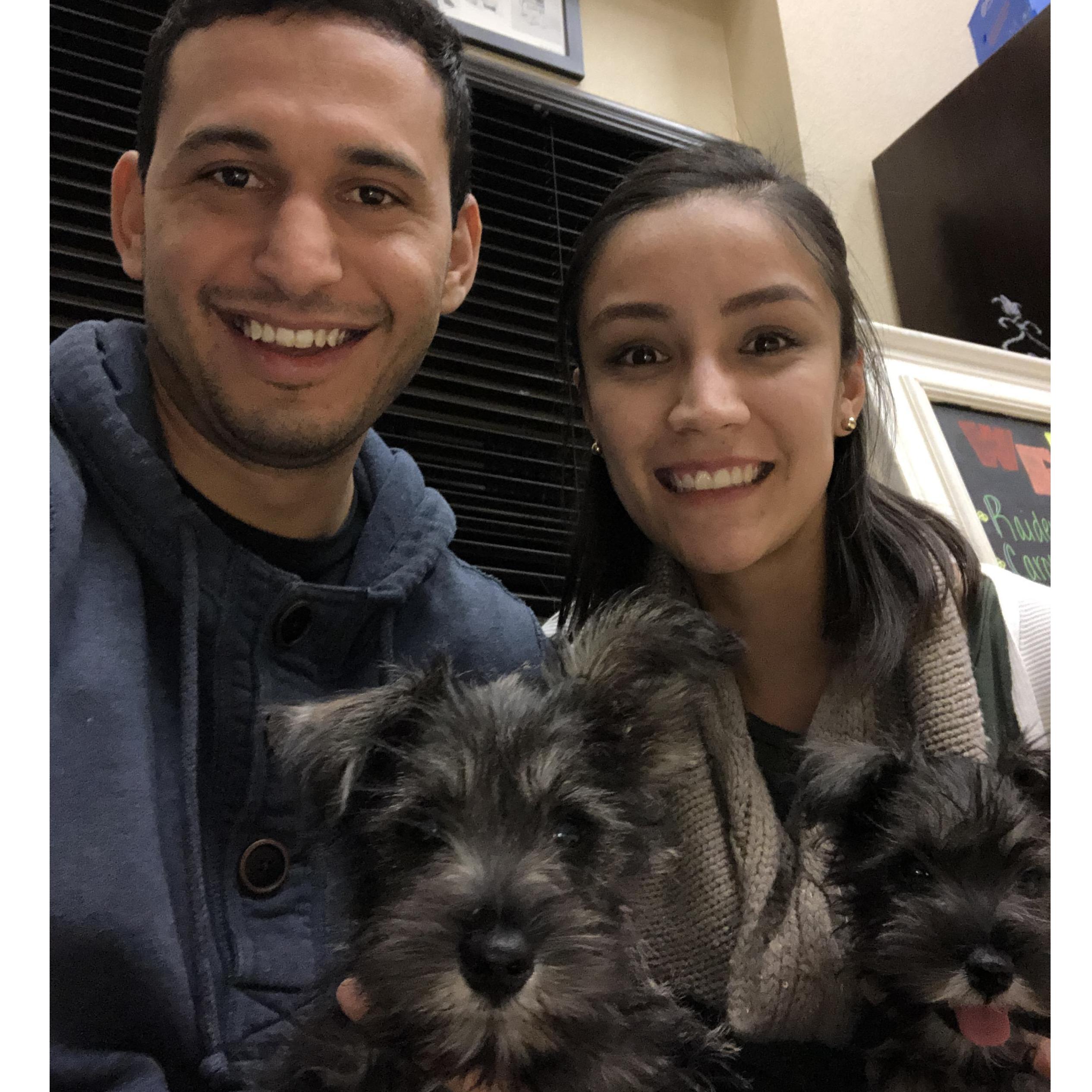 Primer visita al veterinario de nuestros perrhijos.
***
The first vet visit of our fur-babies.