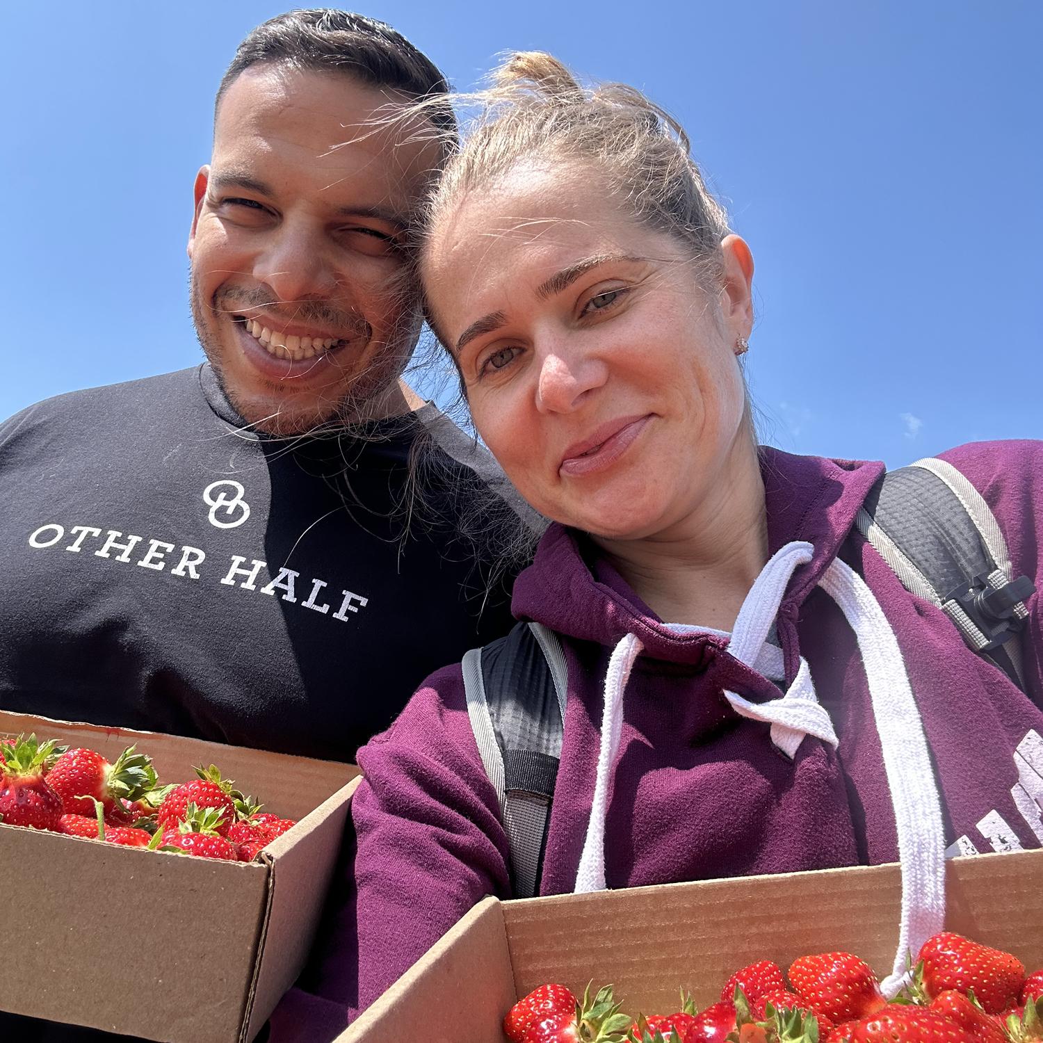 Strawberry Picking, 2023.