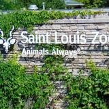 Saint Louis Zoo