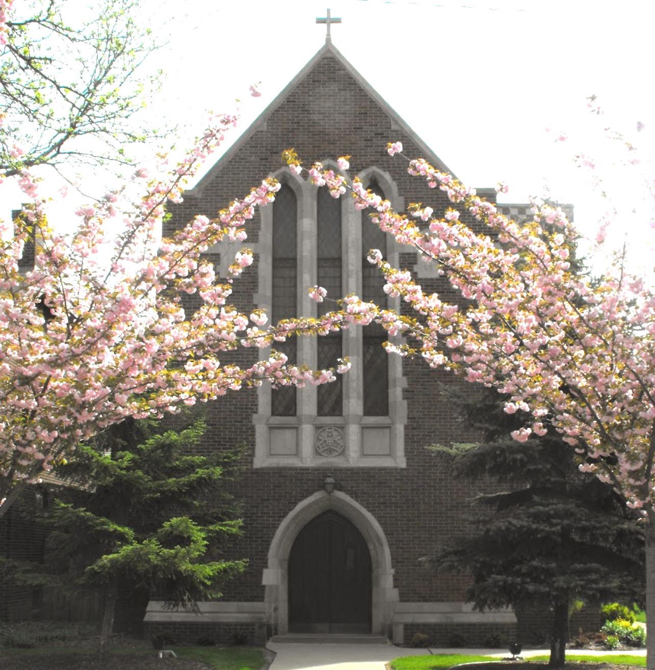 The Wedding Website of Taylor Jenkins and Joseph Behl