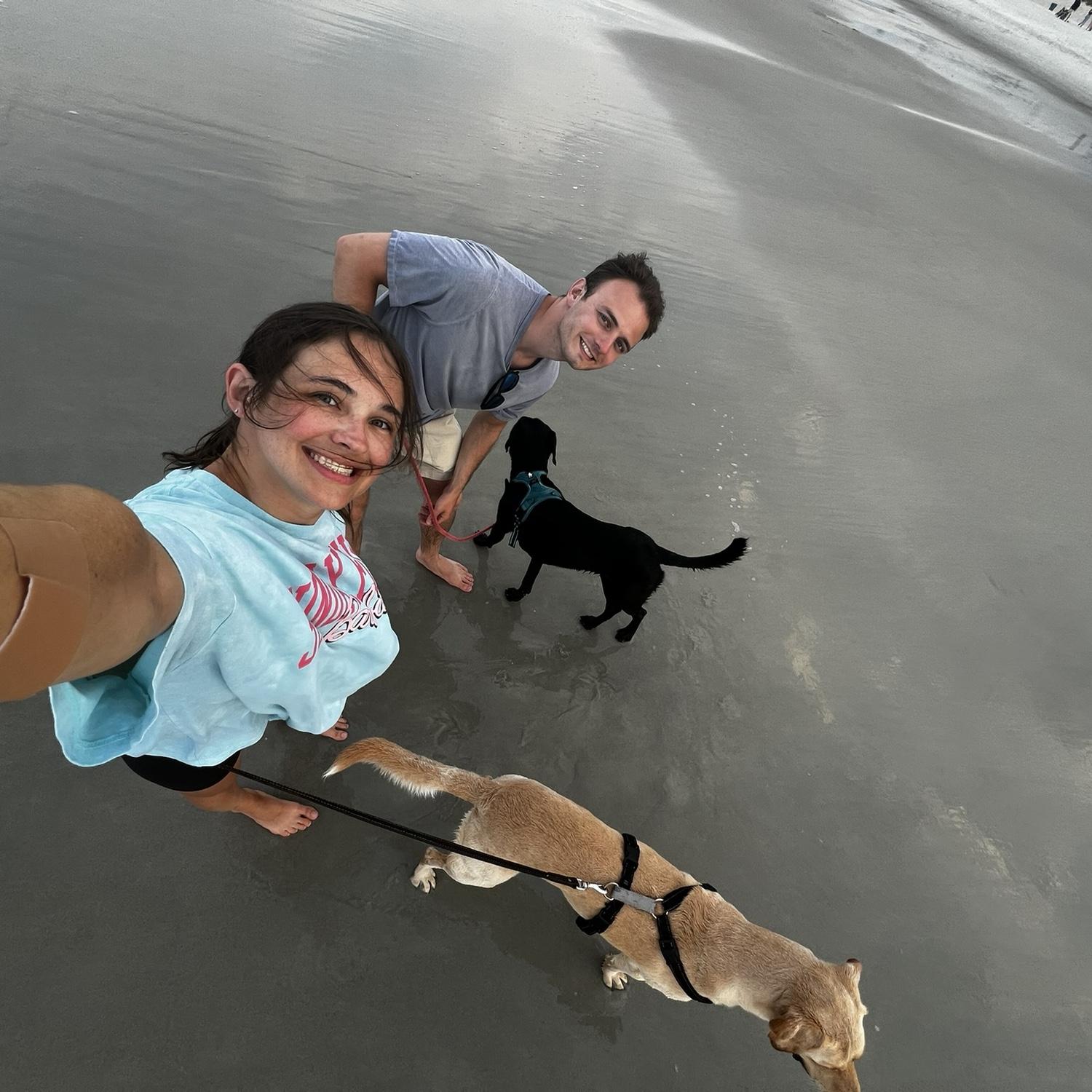 first time taking the dogs to the beach !