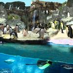 Loveland Living Planet Aquarium