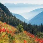 Jewel Basin hiking area