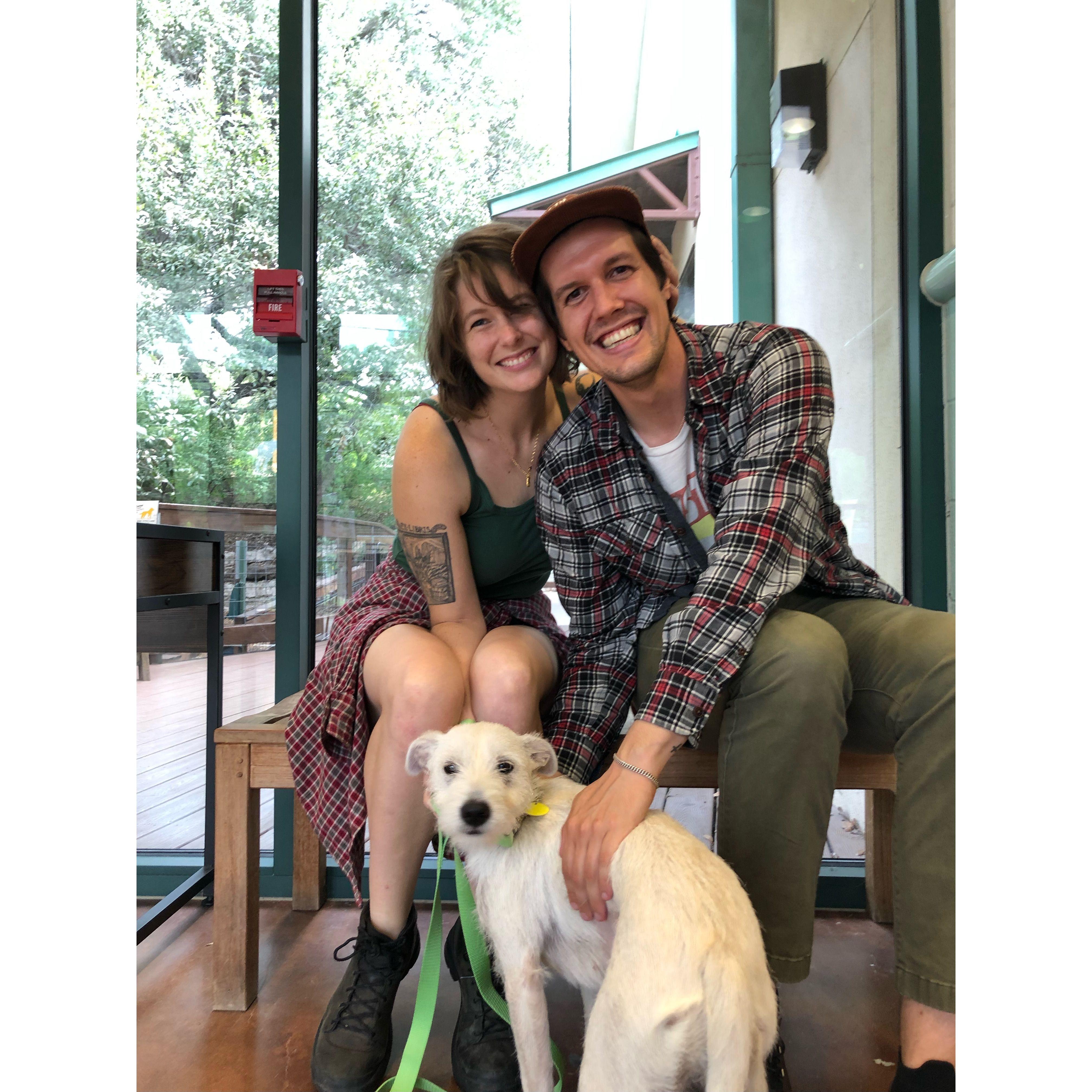 The day Millie was adopted