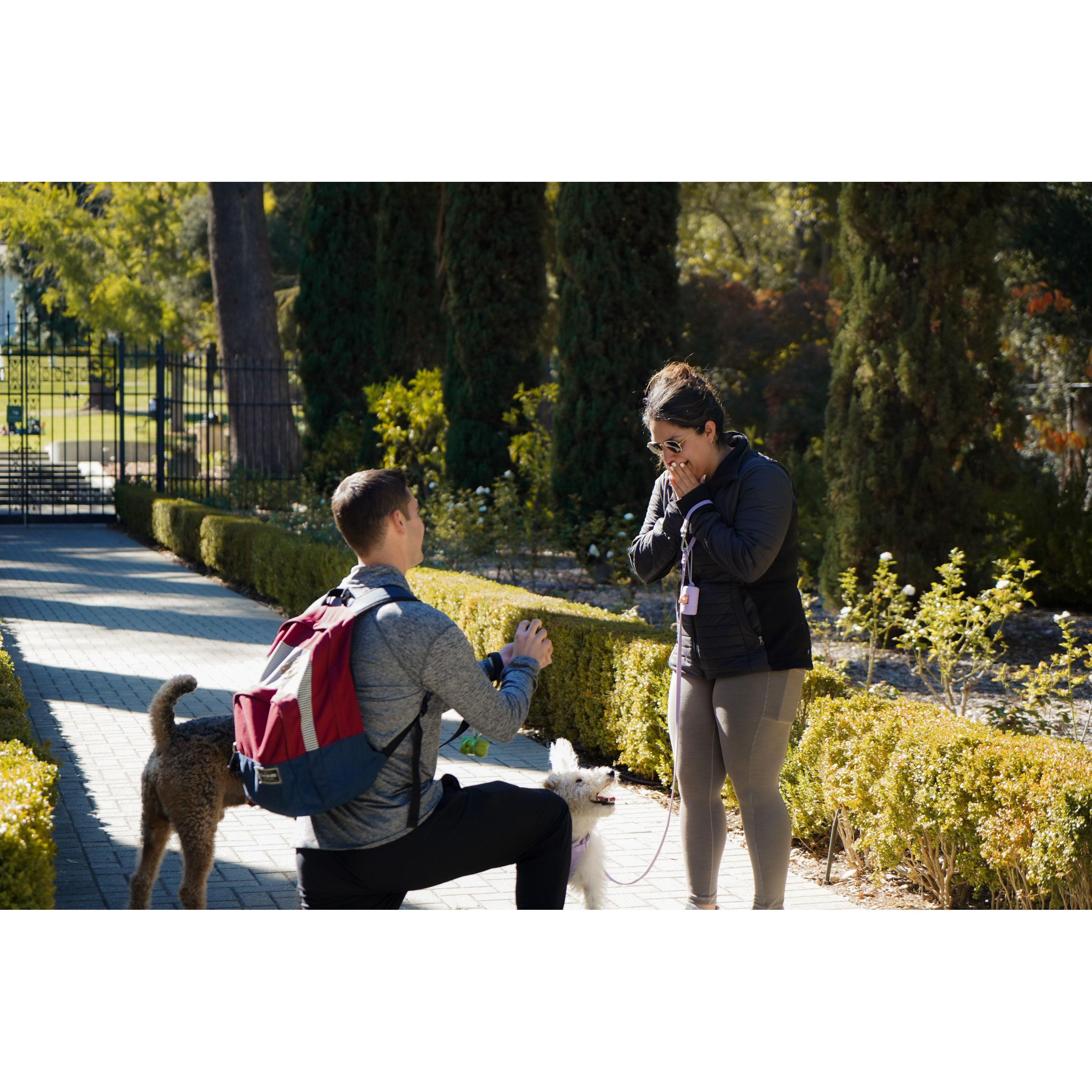 The proposal! October 23, 2022