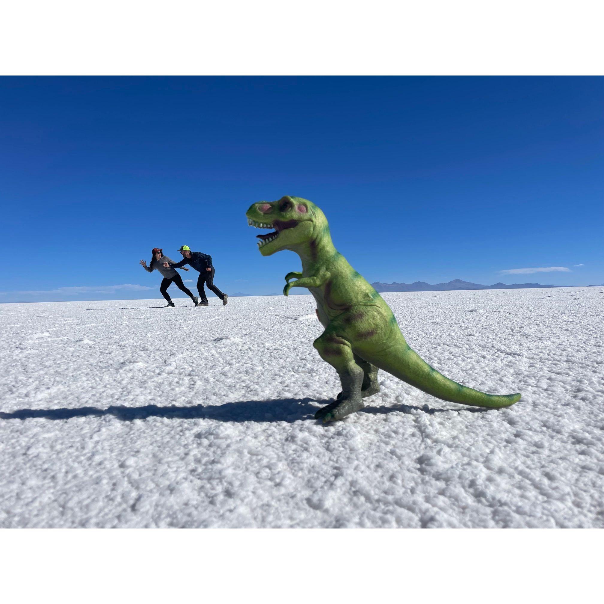 Having fun with photos at Uyuni Salt Flats, Bolivia (Sept. 2023)